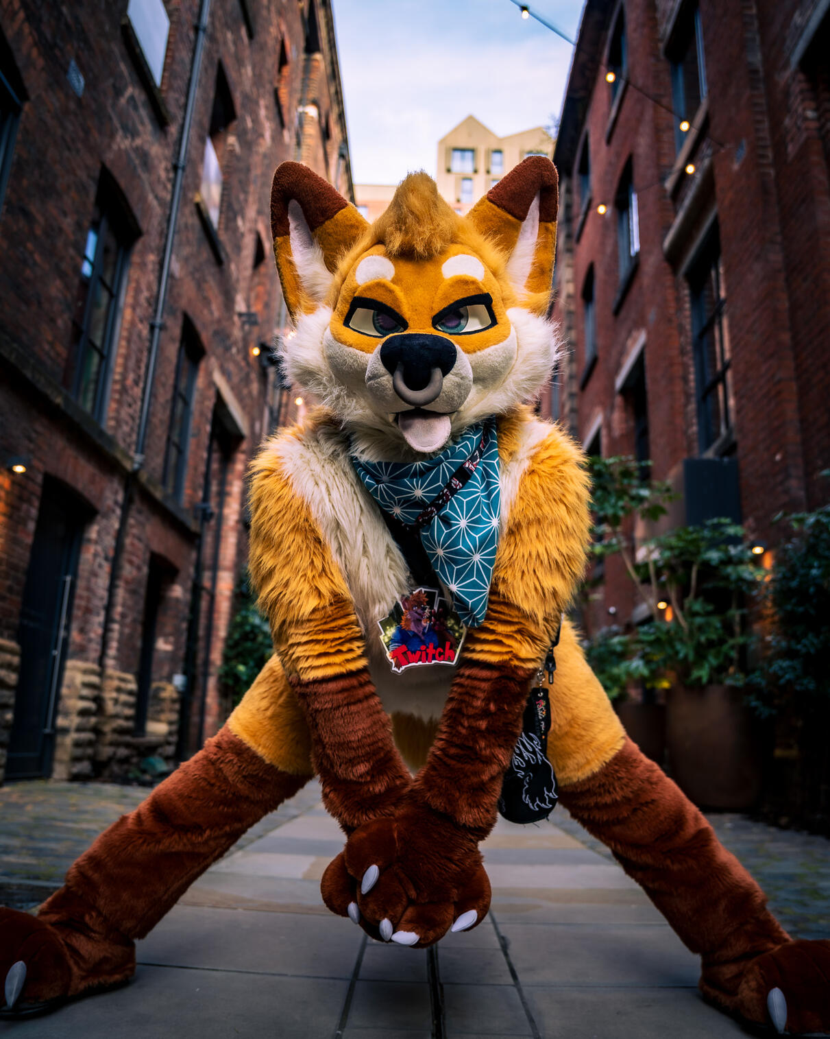 MancFurs 13-12-25