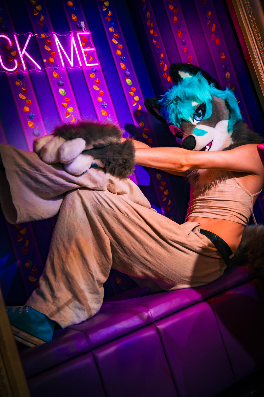 Confuzzled 2026